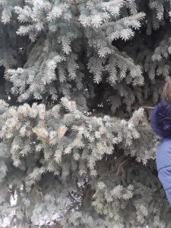 Анна Геннадьевна Кудрявцева